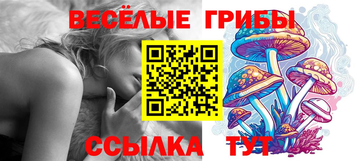 Псилоцибиновые грибы Psilocybine cubensis  Псилоцибиновые грибы MAGIC MUSHROOMS  Дальнереченск  Вход с VPN 